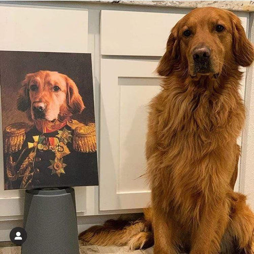 🎖️ Custom Military Pet Portrait – Personalized Digital Artwork 🐶🐱