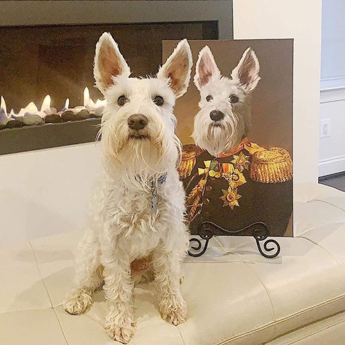 🎖️ Custom Military Pet Portrait – Personalized Digital Artwork 🐶🐱